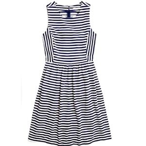 Madewell Afternoon Fit & Flare Striped Navy Dress in Large